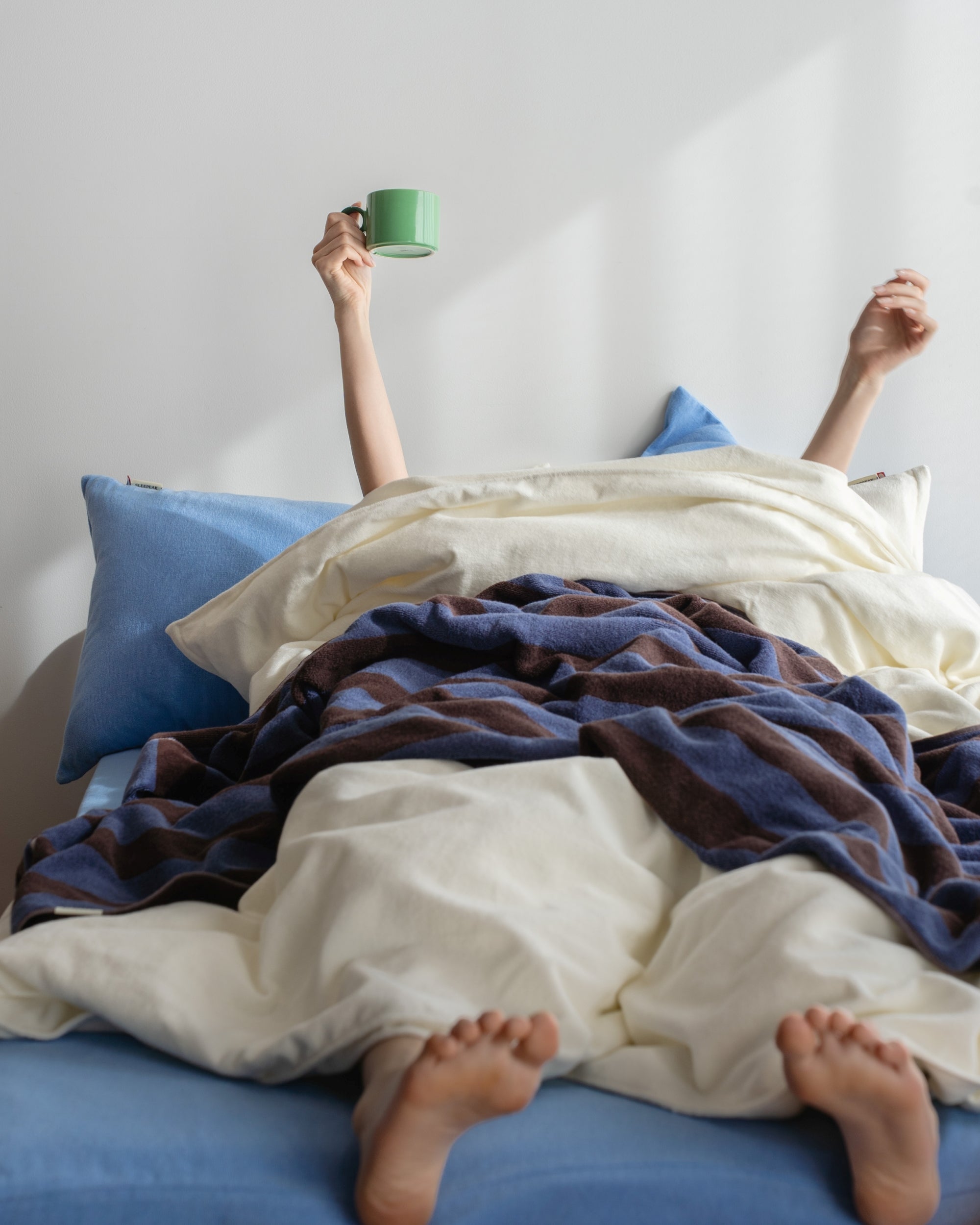 Imabari Towel Stripe Blanket Coffee Brown and Midnight Blue Stripes